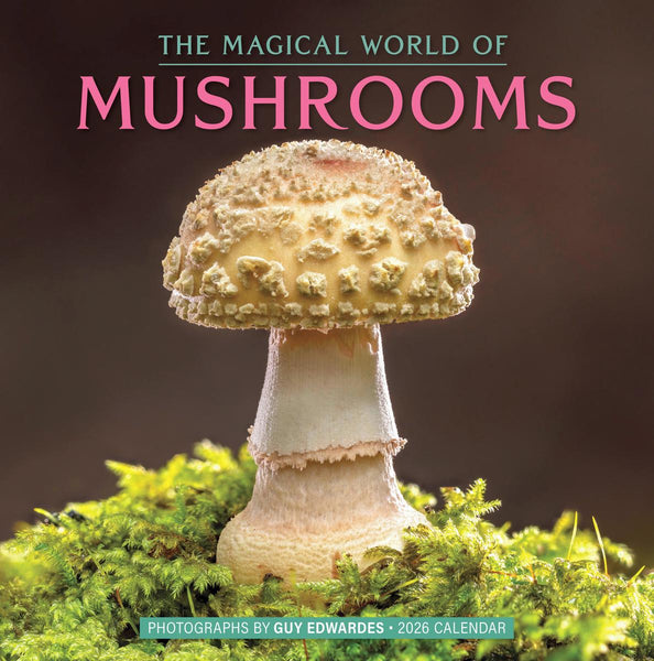 Wall Calendar 2026 Magical World of Mushrooms