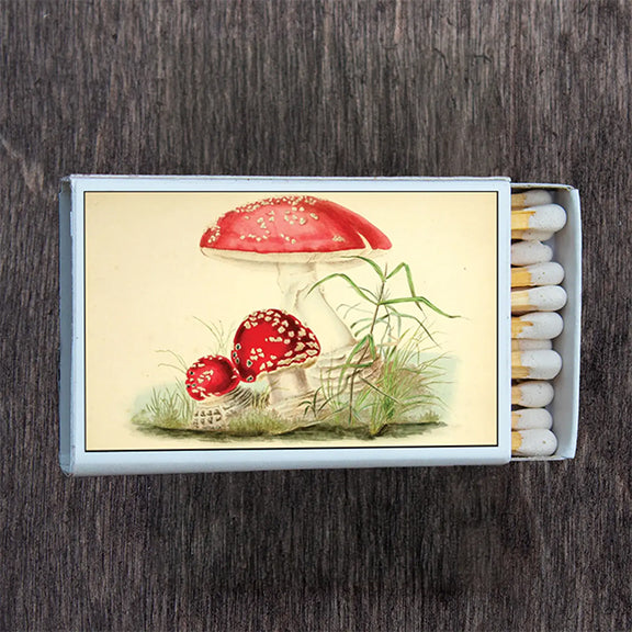 Matchbox Mushrooms