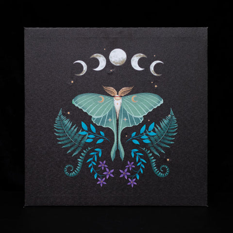 Luna Moth Light Up Canvas Plaque