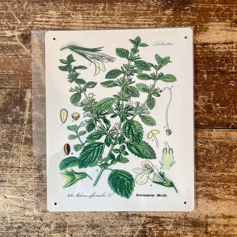 Metal Sign: Herbs - Lemon Balm