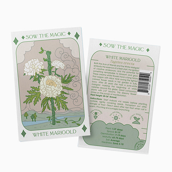 Tarot Garden + Gift Seed Packet: White Marigold