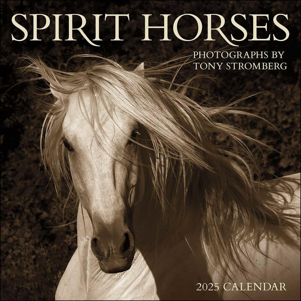 Wall Calendar 2025 Spirit Horses