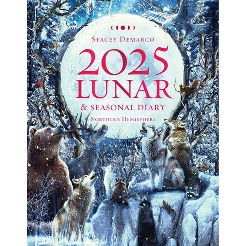 2025 Lunar and Seasonal Diary: Northern Hemisphere - Stacey Demarco