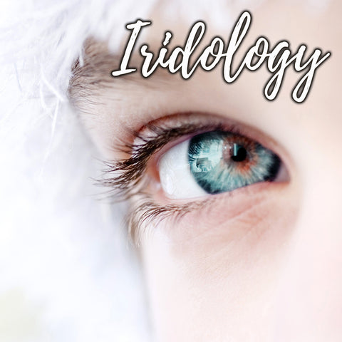 Iridology - 60 minute consultation - Hannah Luft