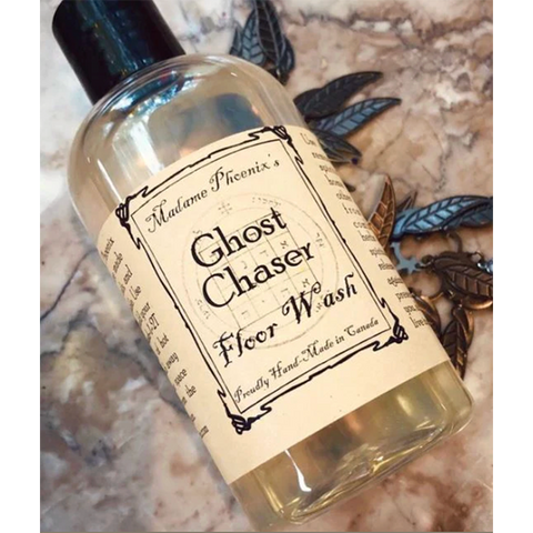 Floor Wash: Ghost Chaser