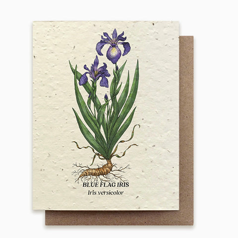 Plantable Wildflower Seed Greeting Card: Blue Flag Iris