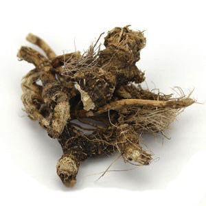 Herb Osha Root (Bear Root) 1oz