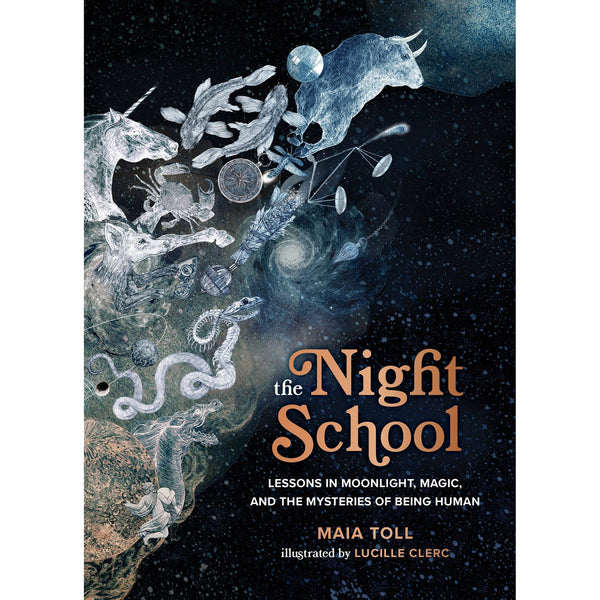 Night School - Maia Toll