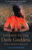 Journey to the Dark Goddess: How to return to your soul - Jane Meredith
