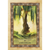 Celtic Tree Oracle - Sharlyn Hidalgo