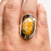 Ring bumble bee jasper oval sterling silver